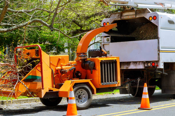 Why Choose Our Tree Removal Services in Hope Valley, RI?